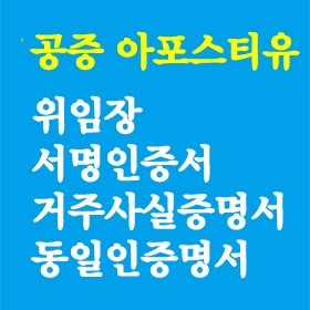 미국시민권자서류